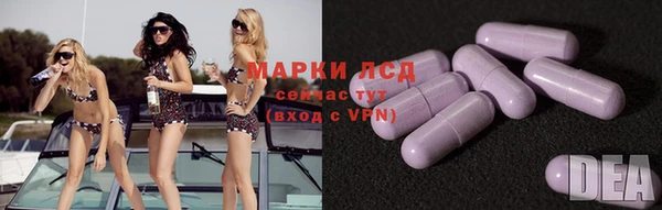 ПСИЛОЦИБИНОВЫЕ ГРИБЫ Абаза