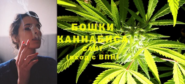 ПСИЛОЦИБИНОВЫЕ ГРИБЫ Абаза