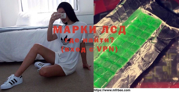 ПСИЛОЦИБИНОВЫЕ ГРИБЫ Абаза