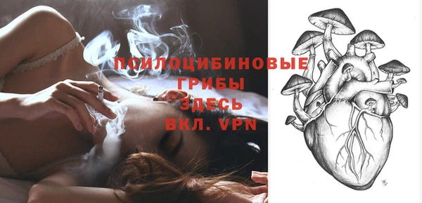 бошки Абинск