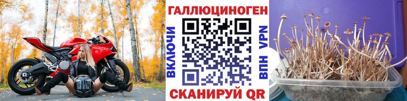 купить наркоту  omg сайт  Галлюциногенные грибы мухоморы  Черемхово 