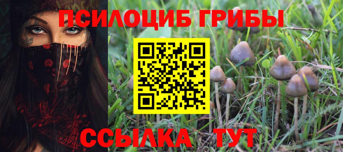 Галлюциногенные грибы Psilocybe  Вход с VPN  Черемхово 